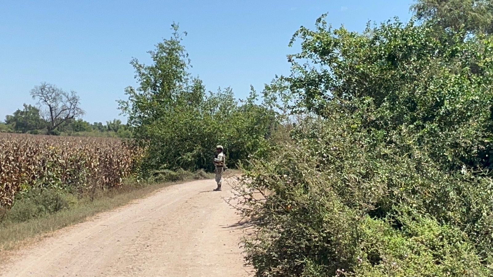 3dce6288-0bdf-4a06-b38b-0f3be68be883