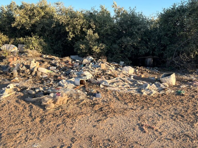 671088312_1581787227281318_3535747195322693676_n