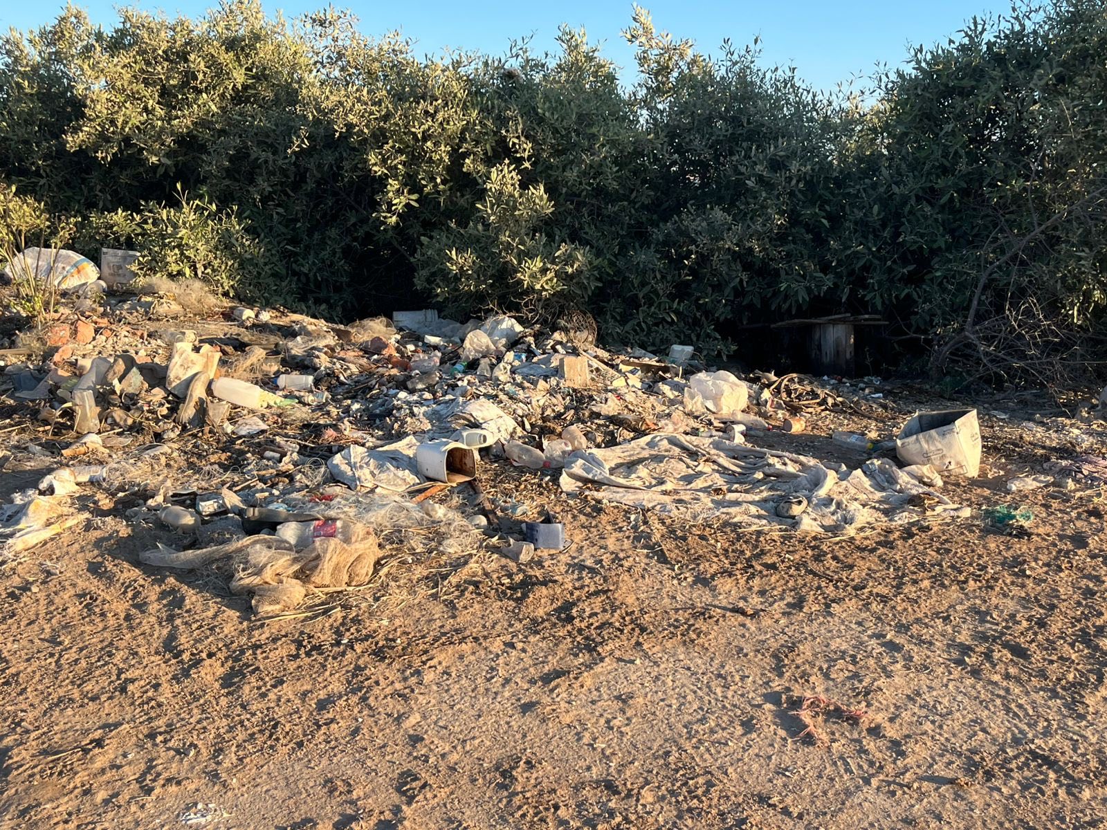 671088312_1581787227281318_3535747195322693676_n