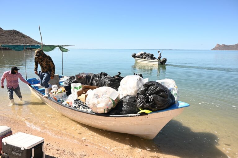 WhatsApp Image 2026-04-16 at 3.29.39 PM