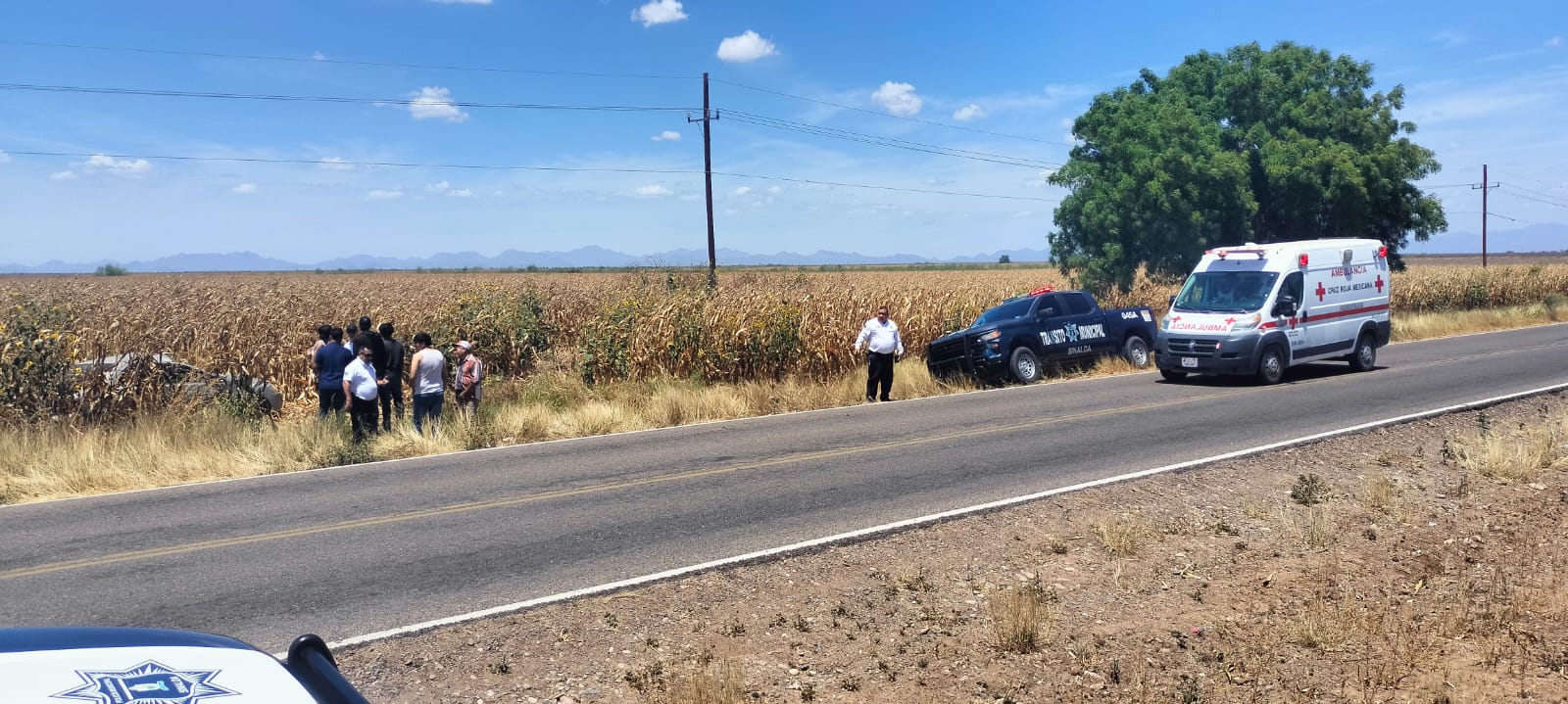 WhatsApp Image 2026-04-23 at 12.41.10 PM