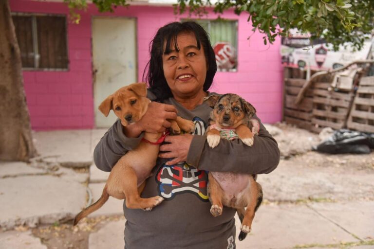 d2bb5942-c2ac-4a28-8148-1382eea27b10